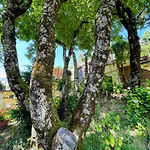別荘 Vicolo - Sleeps 5 With Air Con, Wifi, Balcony For Dining And Pool Strettura