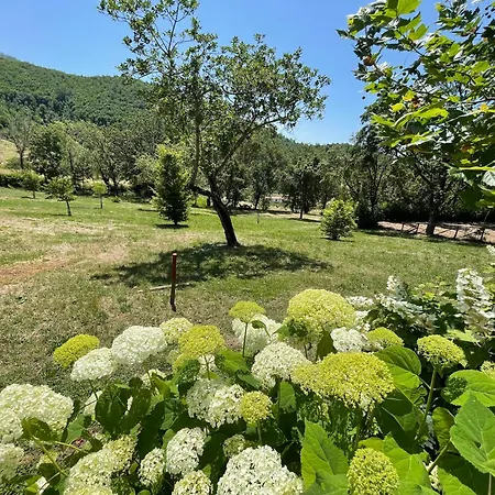 Vicolo - Sleeps 5 With Air Con, Wifi, Balcony For Dining And Pool * Strettura