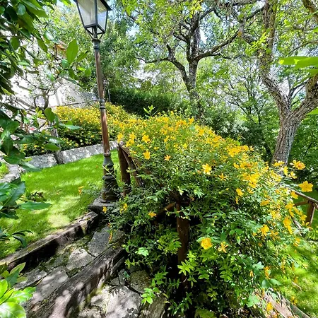 Vicolo - Sleeps 5 With Air Con, Wifi, Balcony For Dining And Pool Сasa de vacaciones Strettura