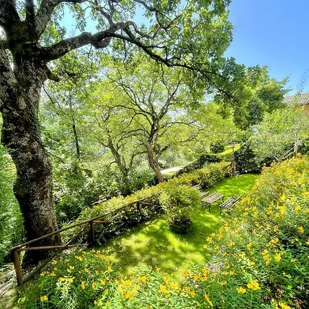 Vicolo - Sleeps 5 With Air Con, Wifi, Balcony For Dining And Pool Strettura