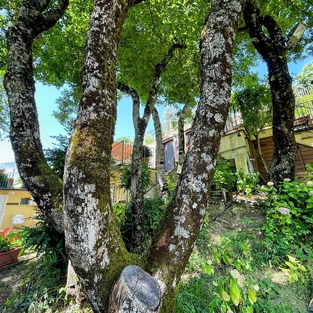 Сasa de vacaciones Vicolo - Sleeps 5 With Air Con, Wifi, Balcony For Dining And Pool Strettura